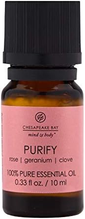 Chesapeake Bay Candle Pure Diffuser Oil 10ml Purify
