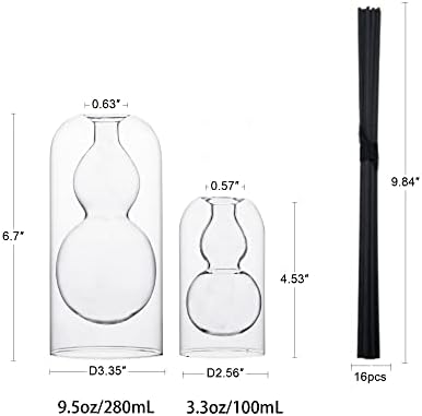 GalDal Empty Glass Fragrance Diffuser Bottles with 16pcs Black Reed Sticks 2pcs Set