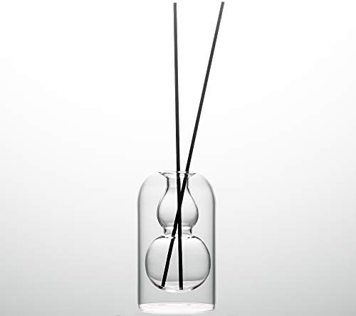 GalDal Empty Glass Fragrance Diffuser Bottles with 16pcs Black Reed Sticks 2pcs Set