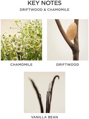 NEST New York Reed Diffuser Driftwood Chamomile 59 Fl Oz