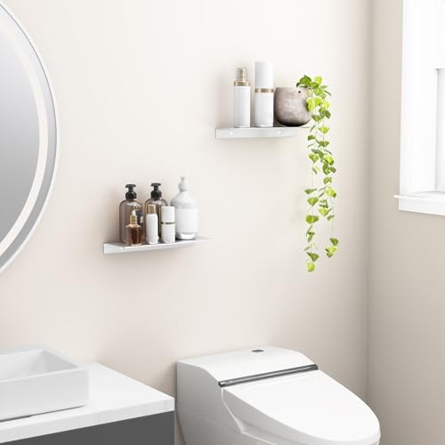 Danpoo Matte Silver Floating Shelves 12 Inch 2 PCS
