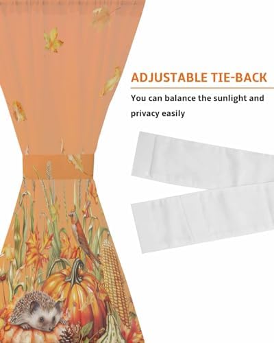 Fall Pumpkin French Door Curtain with Tieback
