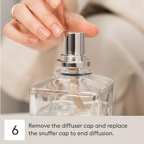 Ocean Breeze - 1L Lampe Berger Fragrance Refill