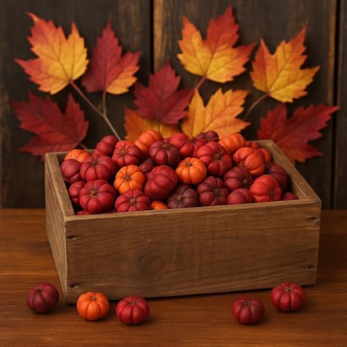 Putka Pods Mini Dried Pumpkin for Fall Decor
