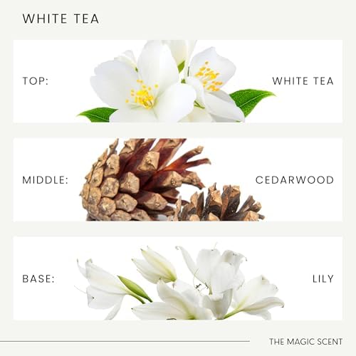 White Tea Reed Diffuser - Hotel Inspired Luxury