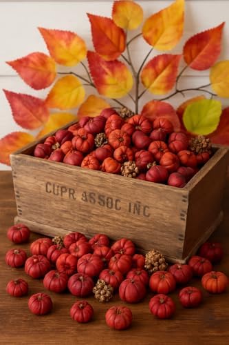 Putka Pods Mini Dried Pumpkin for Fall Decor