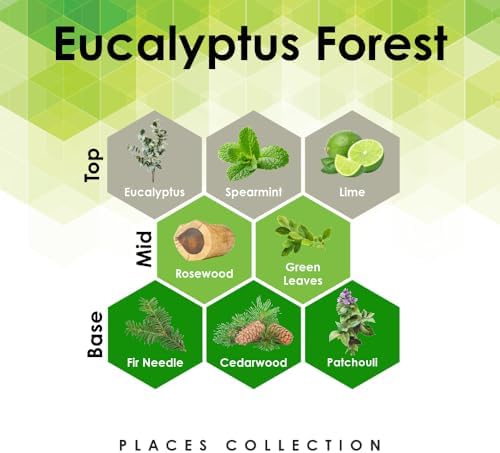 Eucalyptus Forest 4 oz Fragrance Oil Diffuser Refill