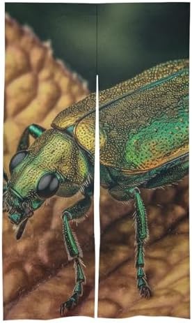 Japanese Noren Green Bug Door Curtain 34x57