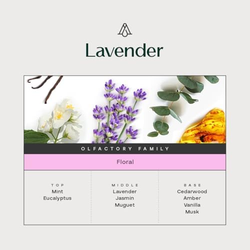 AROMAPLAN Lavender Hotel Essential Oil 17 Fl Oz
