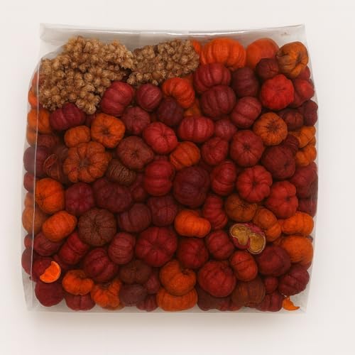 Putka Pods Mini Dried Pumpkin for Fall Decor