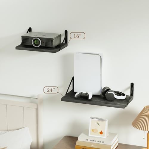 SAUMONIERES Floating Shelves Wall Bookshelf Set of 2 Black