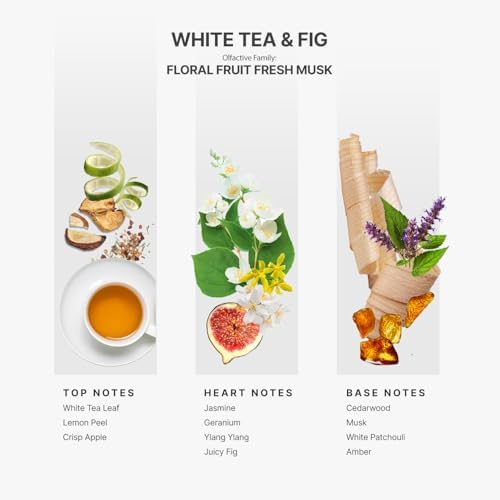 AROMAPLAN Hotel Scents White Tea Fig 5 Fl Oz