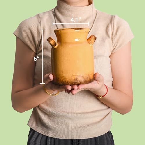 Quoowiit Ceramic Rustic Farmhouse Vase