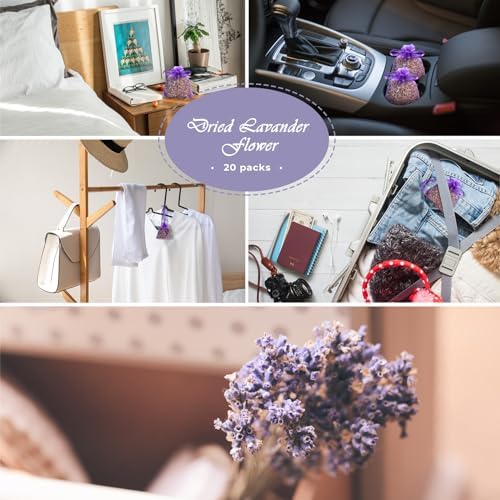 STRN 20 Pack Lavender Scented Sachets for Home and Gifts
