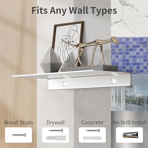 Danpoo Matte Silver Floating Shelves 12 Inch 2 PCS