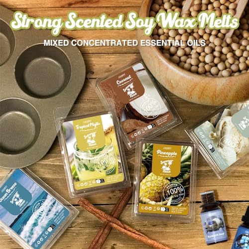 Salubrito Summer Scented Wax Melts Gift Set