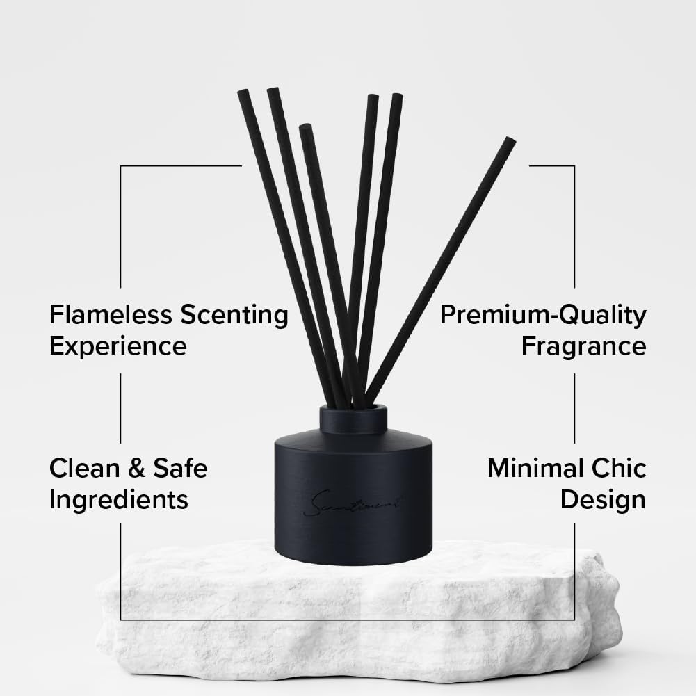 Day Dream Reed Diffuser Set - Black Ceramic 100ml