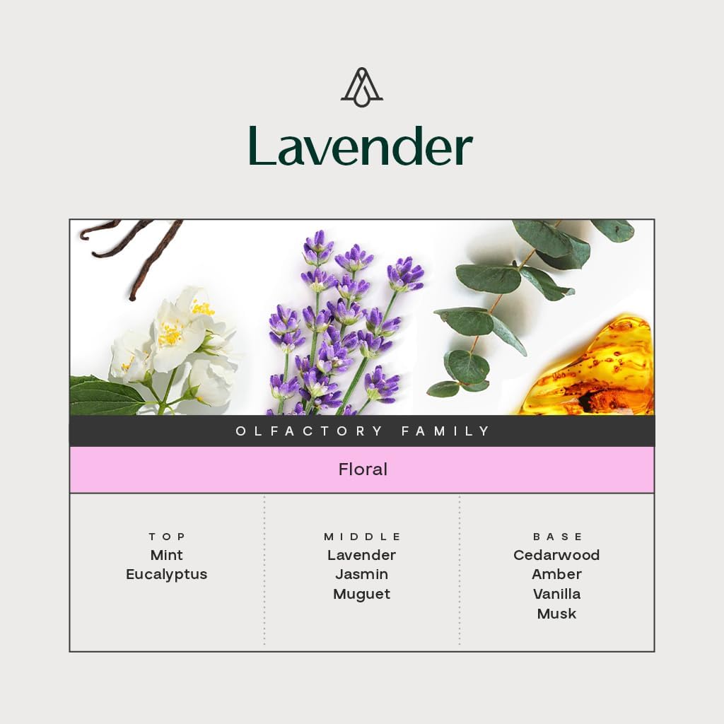 AROMAPLAN Lavender Hotel Essential Oil 17 Fl Oz