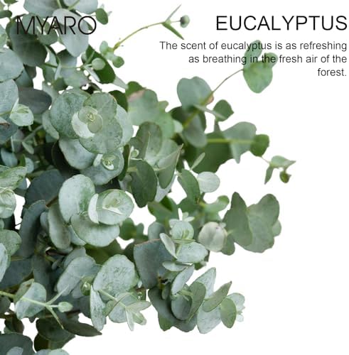 MYARO Eucalyptus Scented Sachets 12 Pcs Drawer Closet Freshener