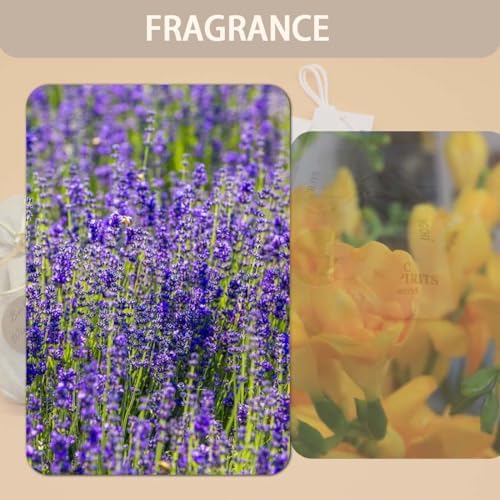 Home Refillable Fragrance Sachets 6-Pack Lavender Freesia