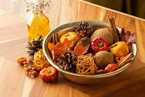 ANDALUCA Autumn Pumpkin Patch Scented Potpourri 20 oz