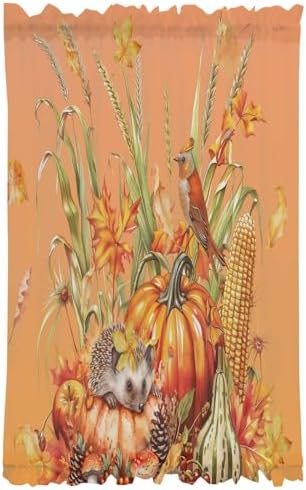 Fall Pumpkin French Door Curtain with Tieback