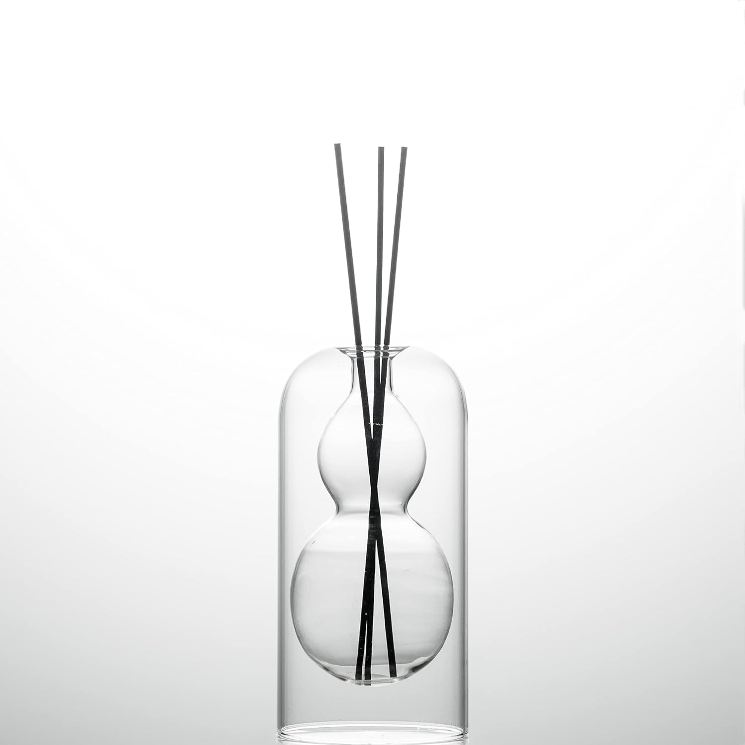 GalDal Empty Glass Fragrance Diffuser Bottles with 16pcs Black Reed Sticks 2pcs Set