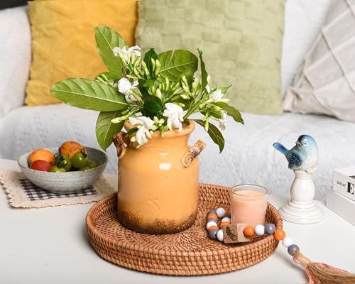Quoowiit Ceramic Rustic Farmhouse Vase