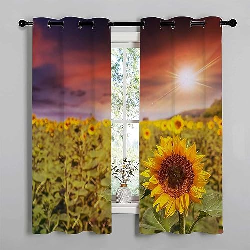 YANFENQI Blackout Curtains with Grommets 63Inch x 63Inch 2 Panels