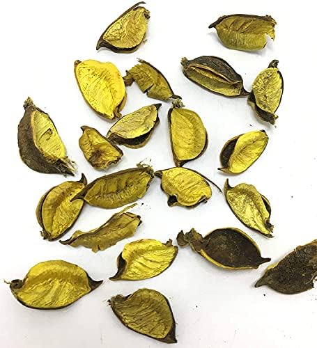 Artifii Potpourri Flowers Leaves Yellow Decor