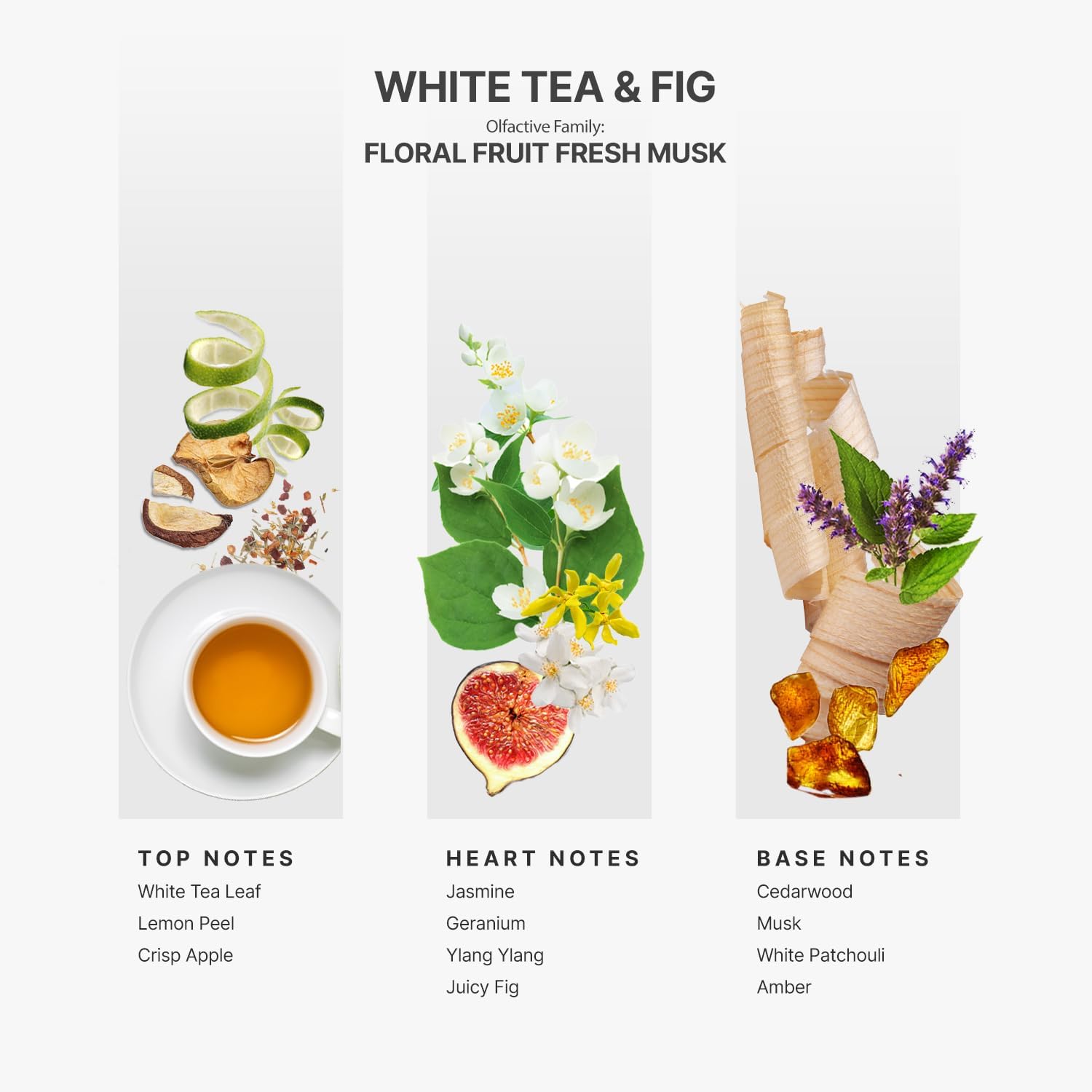 AROMAPLAN Hotel Scents White Tea Fig 5 Fl Oz