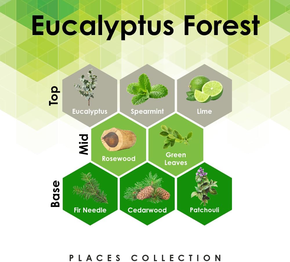 Eucalyptus Forest 4 oz Fragrance Oil Diffuser Refill