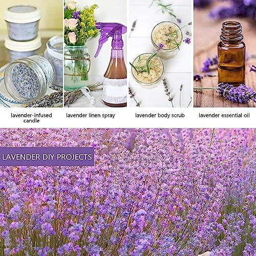 Cedar Space Lavender Sachets for Closets and Drawers