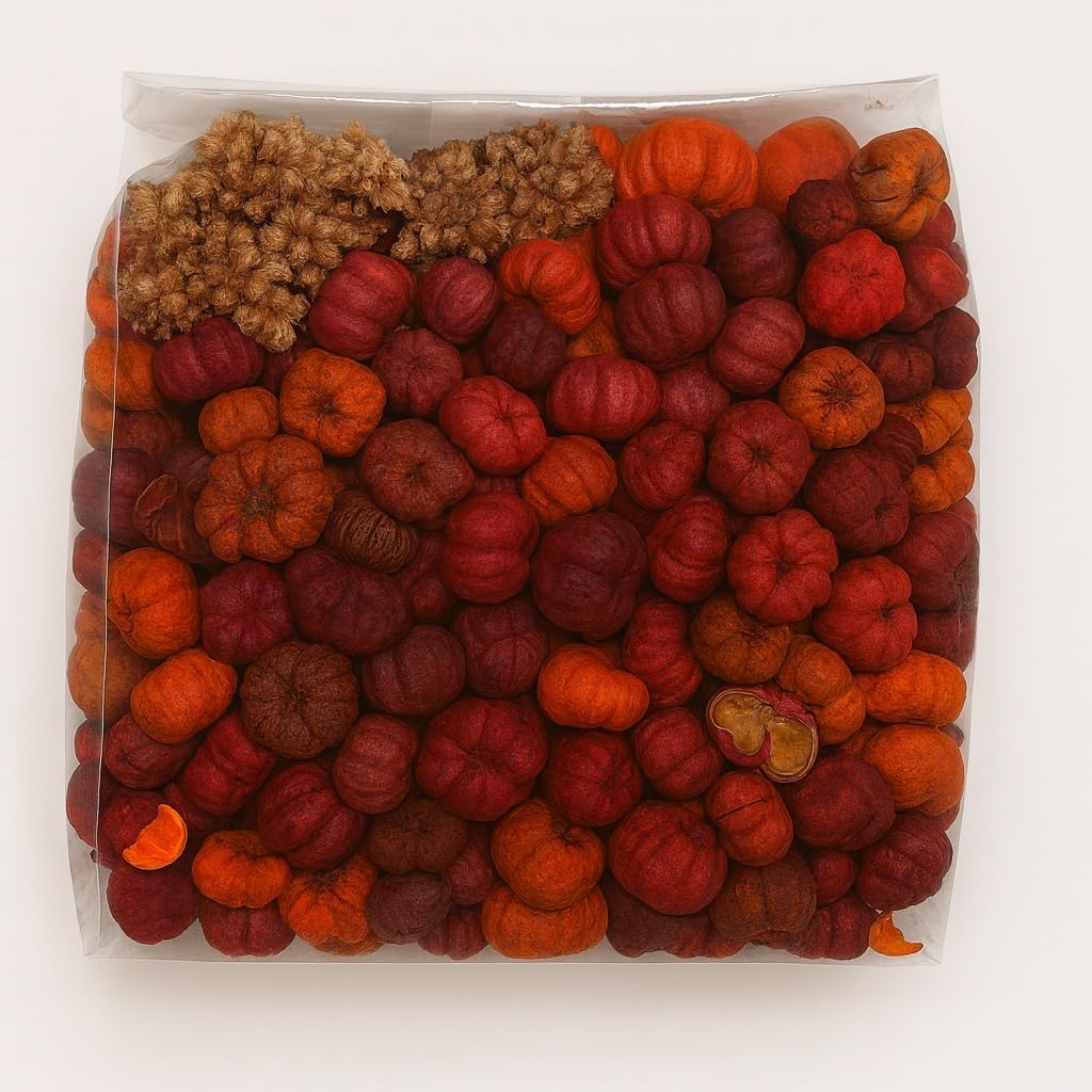 Putka Pods Mini Dried Pumpkin for Fall Decor