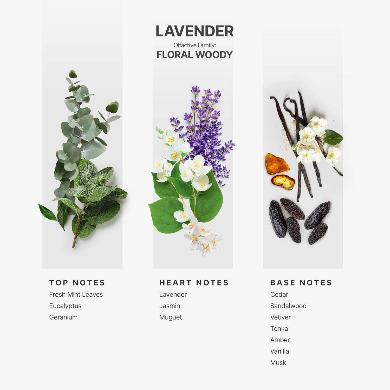 AROMAPLAN Hotel Scents Lavender 16 Fl Oz