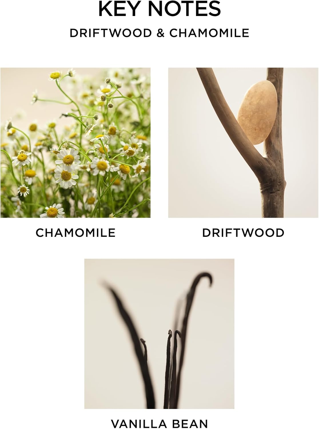 NEST New York Reed Diffuser Driftwood Chamomile 59 Fl Oz