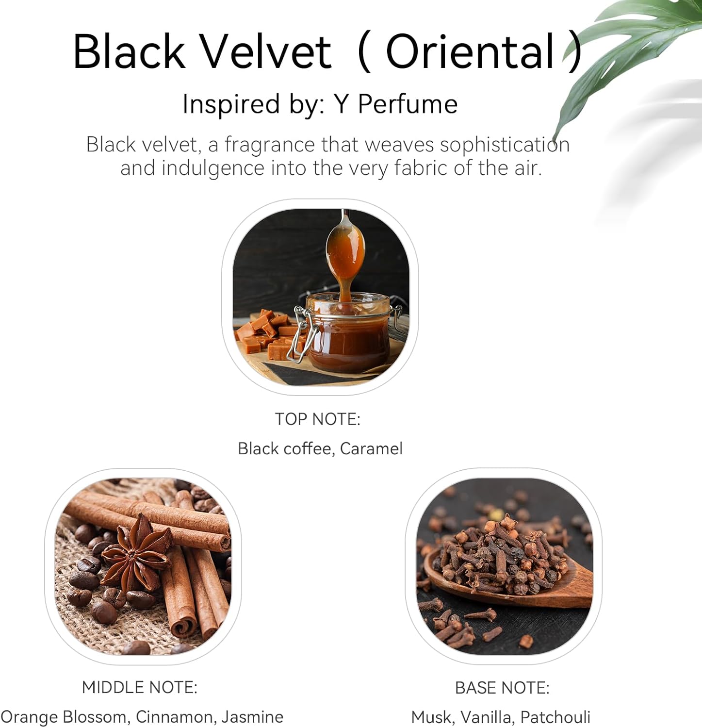 Hotel Fragrance Oil - Black Velvet Luxury Scent for Diffuser