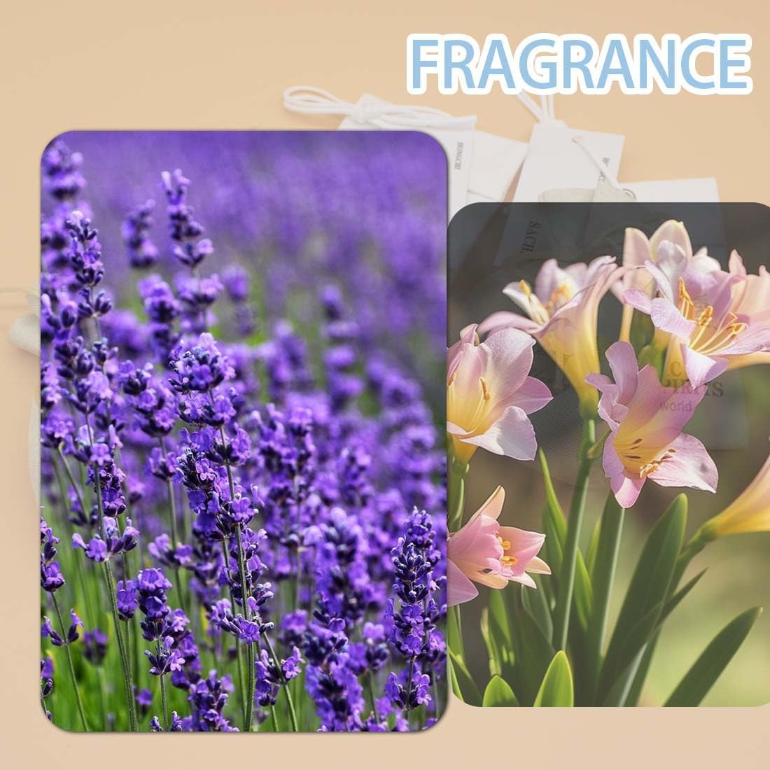 6-Pack Scented Sachets Set - English Pear Freesia Lavender