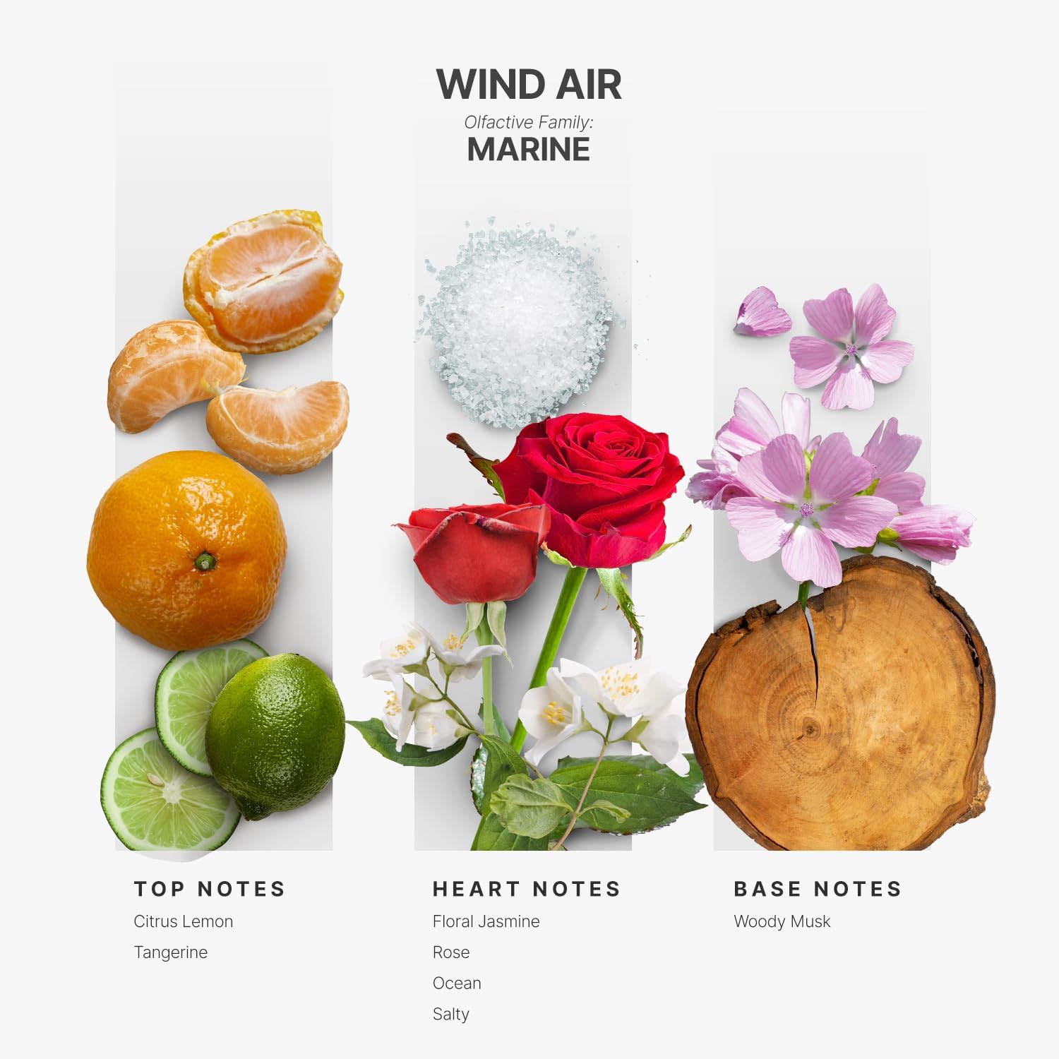 Aromaplan Wind Air 5 Fl Oz Hotel Diffuser Oil