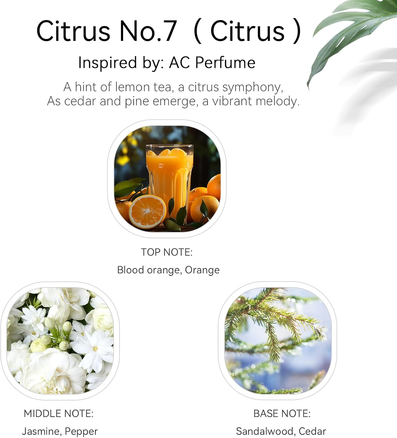 Citrus No 7 Luxury Hotel Inspired Diffuser Oil - 150ML