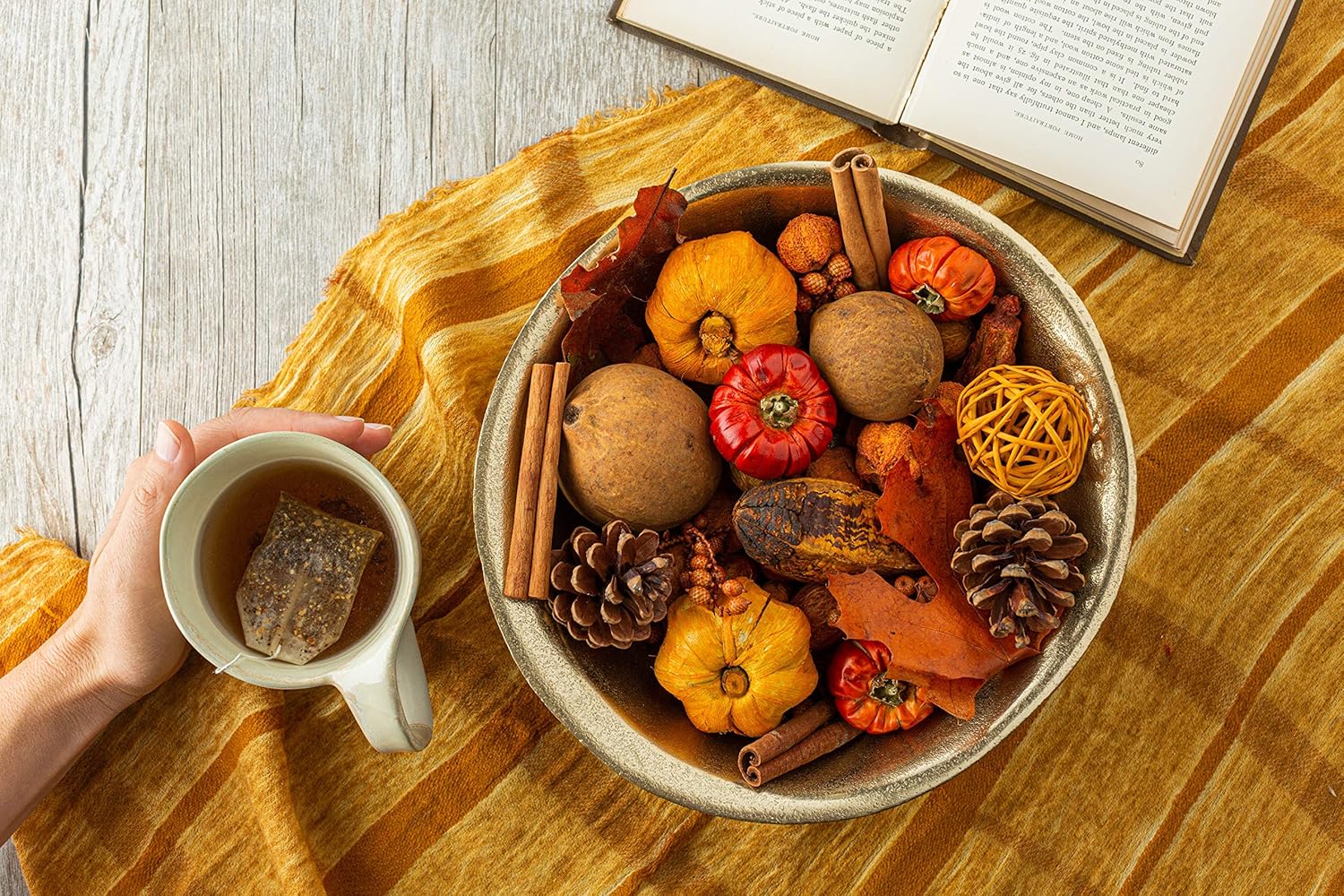 ANDALUCA Autumn Pumpkin Patch Scented Potpourri 20 oz