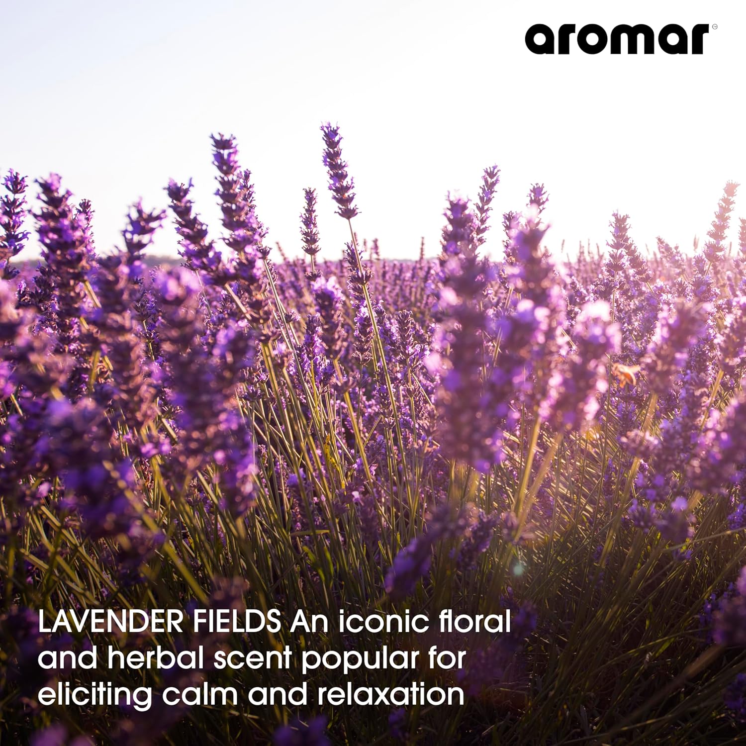 AROMAR Premium Fragrance Oil - Lavender Fields 8oz
