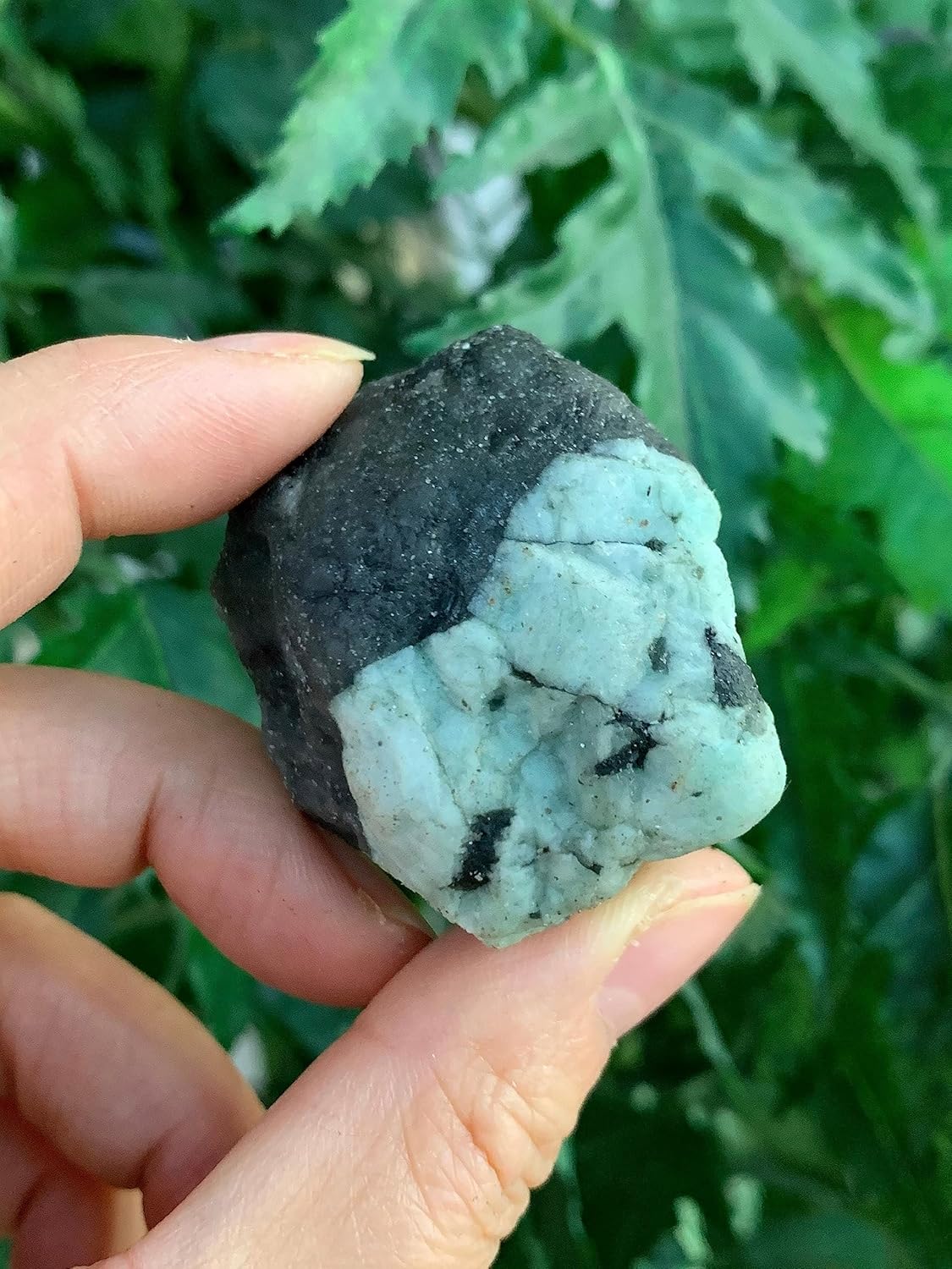 GAF Treasures 1 Pound Raw Emerald Stones
